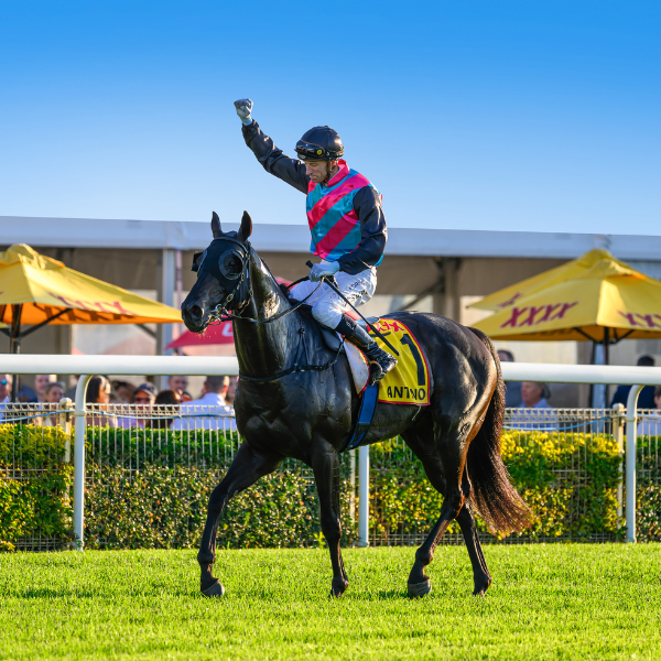 SS26_Hero Image_03 Doomben Cup_600x600